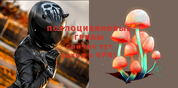 экстази Арсеньев