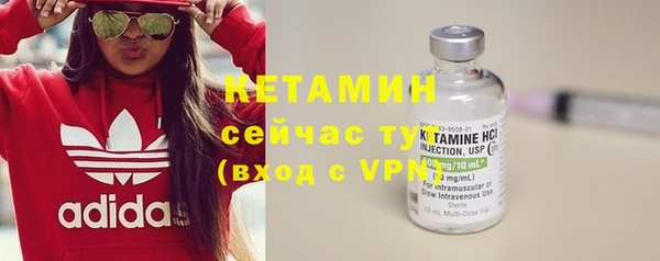 шишки Аркадак