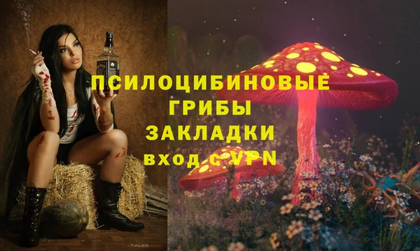 экстази Арсеньев