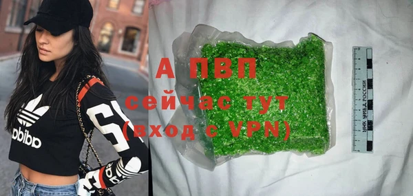 экстази Арсеньев