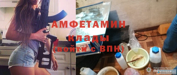 шишки Аркадак
