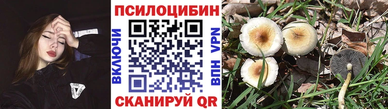 Псилоцибиновые грибы мухоморы  хочу наркоту  Полысаево 