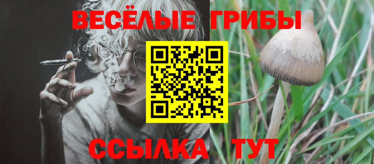 Галлюциногенные грибы мухоморы  Вход с VPN  где продают наркотики  Полысаево 